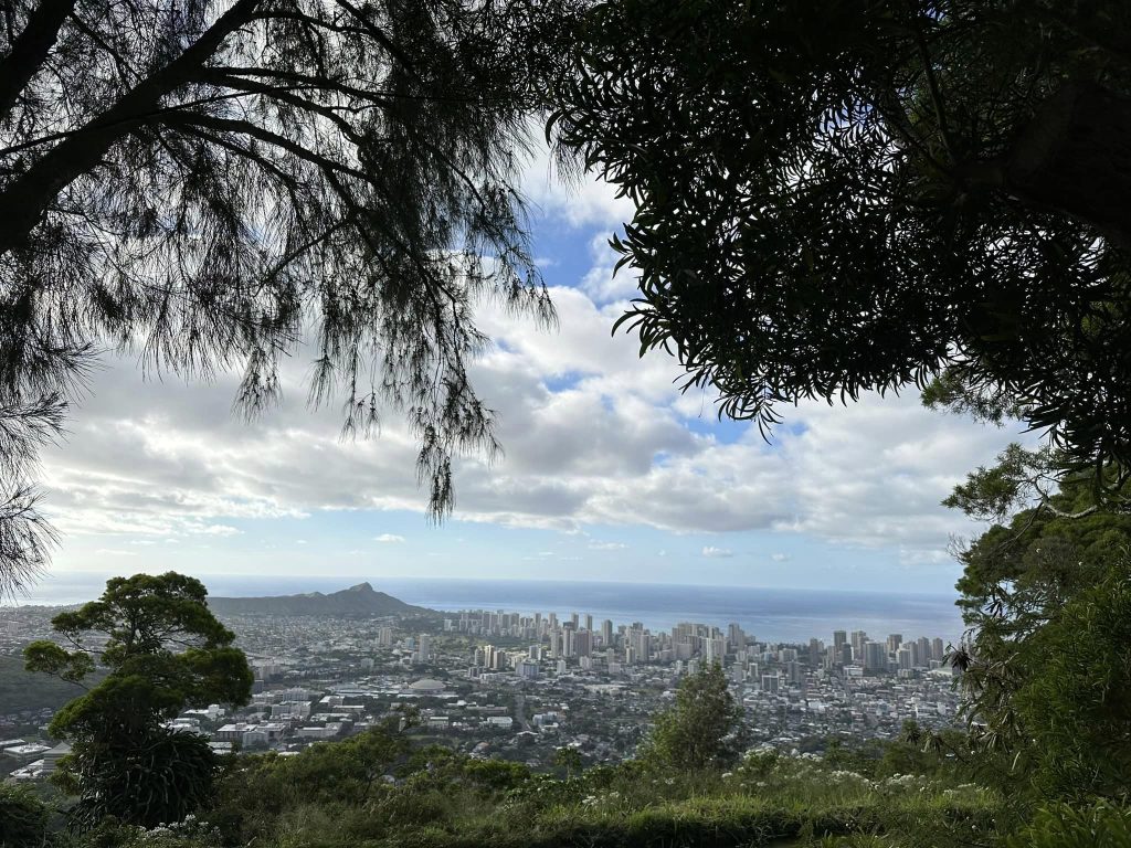 半年を振り返って