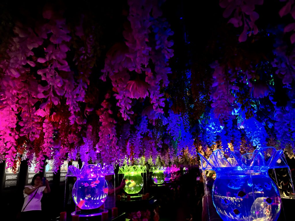 涼しさを求めて